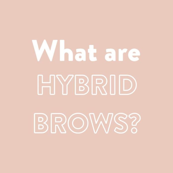 The Ultimate Guide to Hybrid Brows